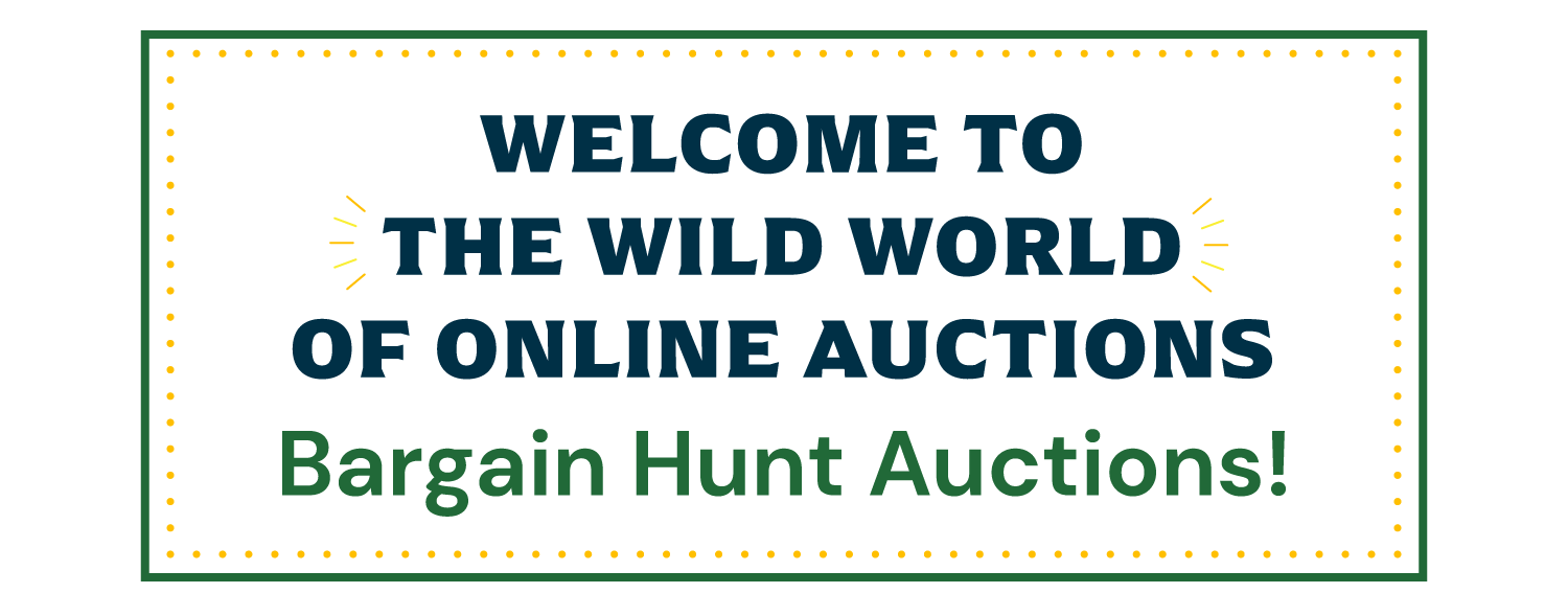 Bargain Hunt Online Auctions